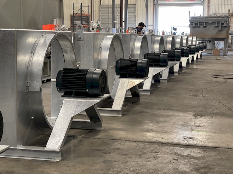 Plant-3a